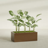 Torino Wide Rectangular fiberglass planter in Metallic Bronze, shown planted, in a sunlit interior