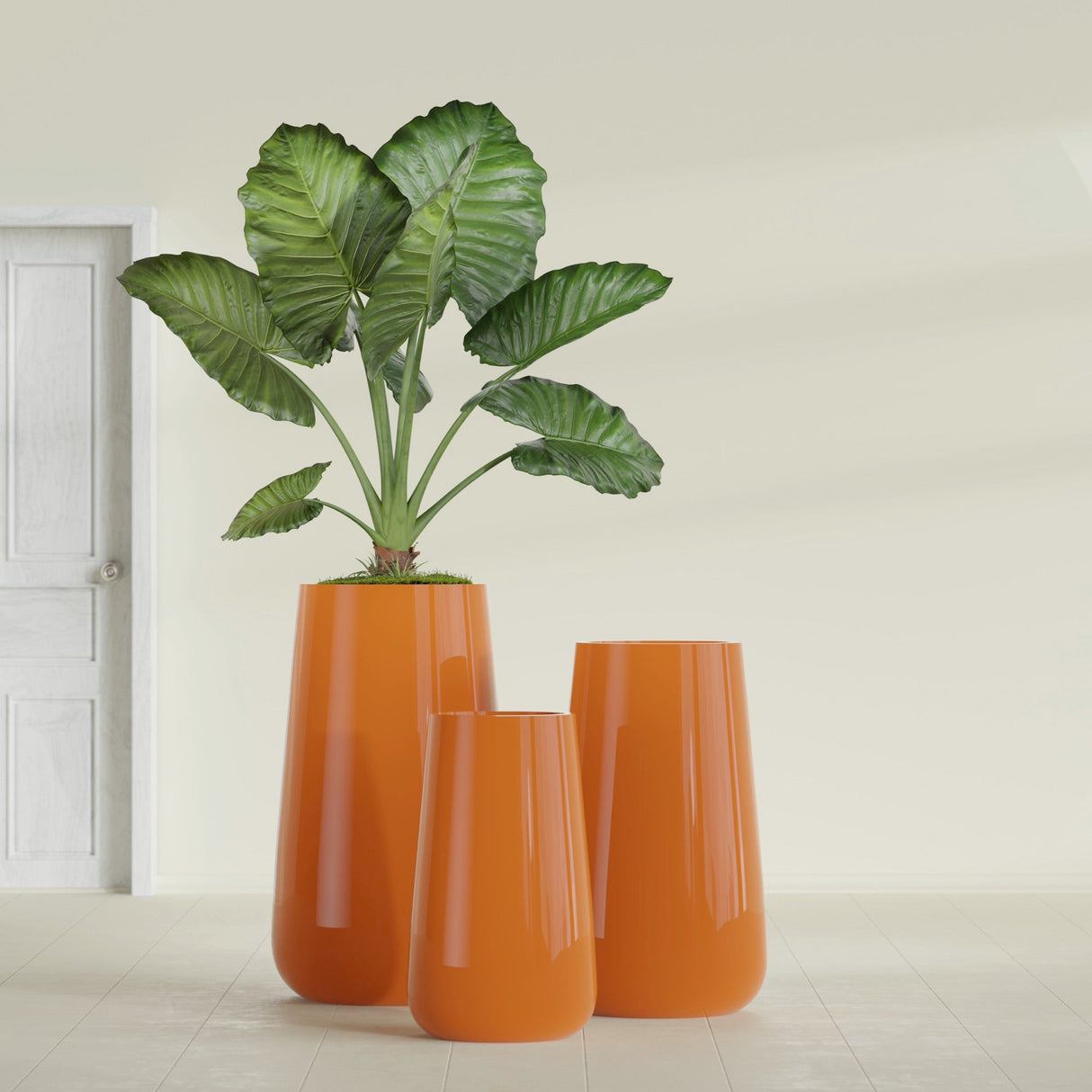 Saigon Tapered Round fiberglass planter in Gloss Tangerine, size range, in a sunlit interior