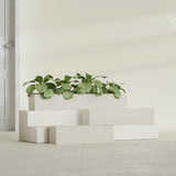 Monaco Rectangle fiberglass planter in Satin Beige, shown planted, in a sunlit interior