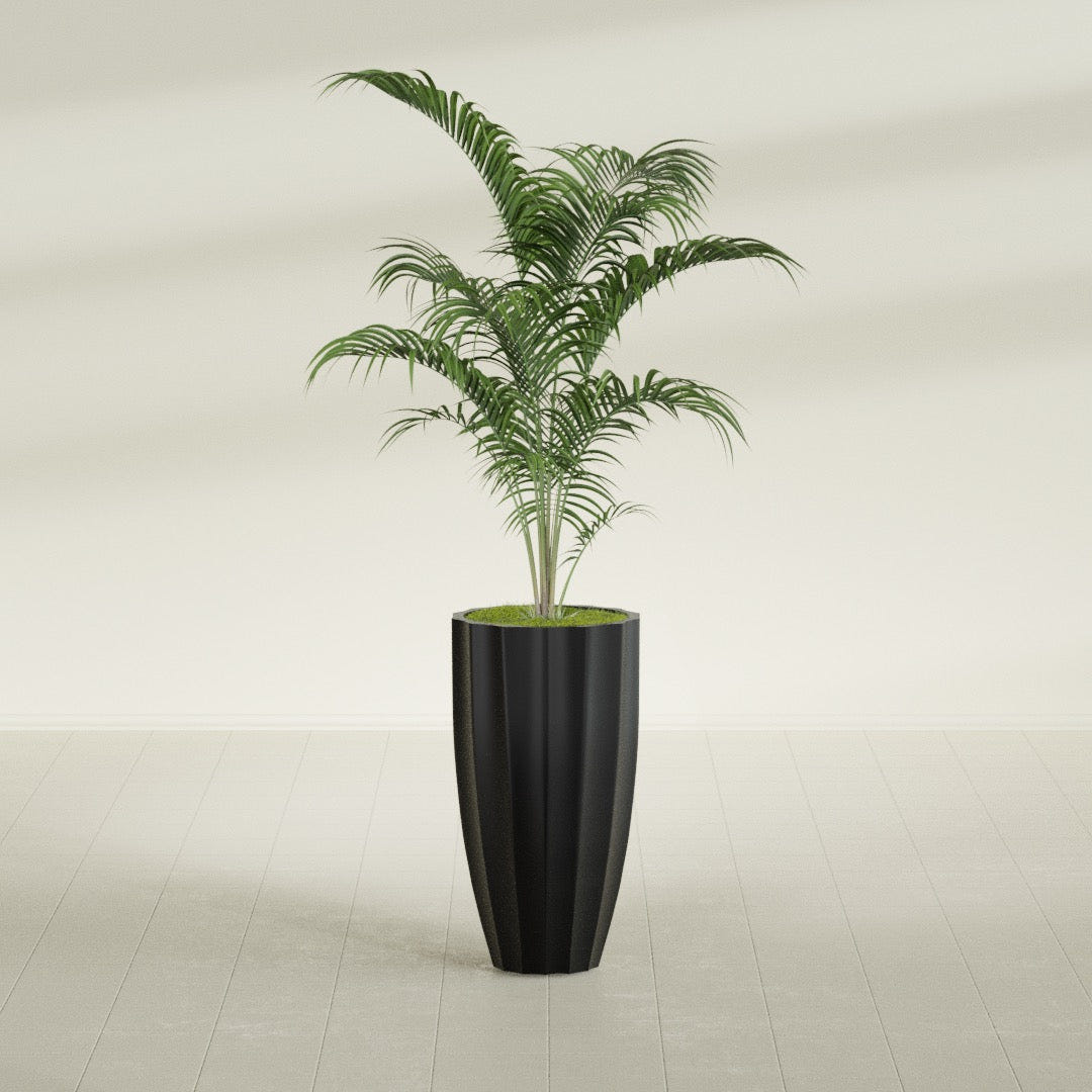 San Jose Tall Fluted fiberglass planter in Matte Black, shown planted, in a sunlit interior