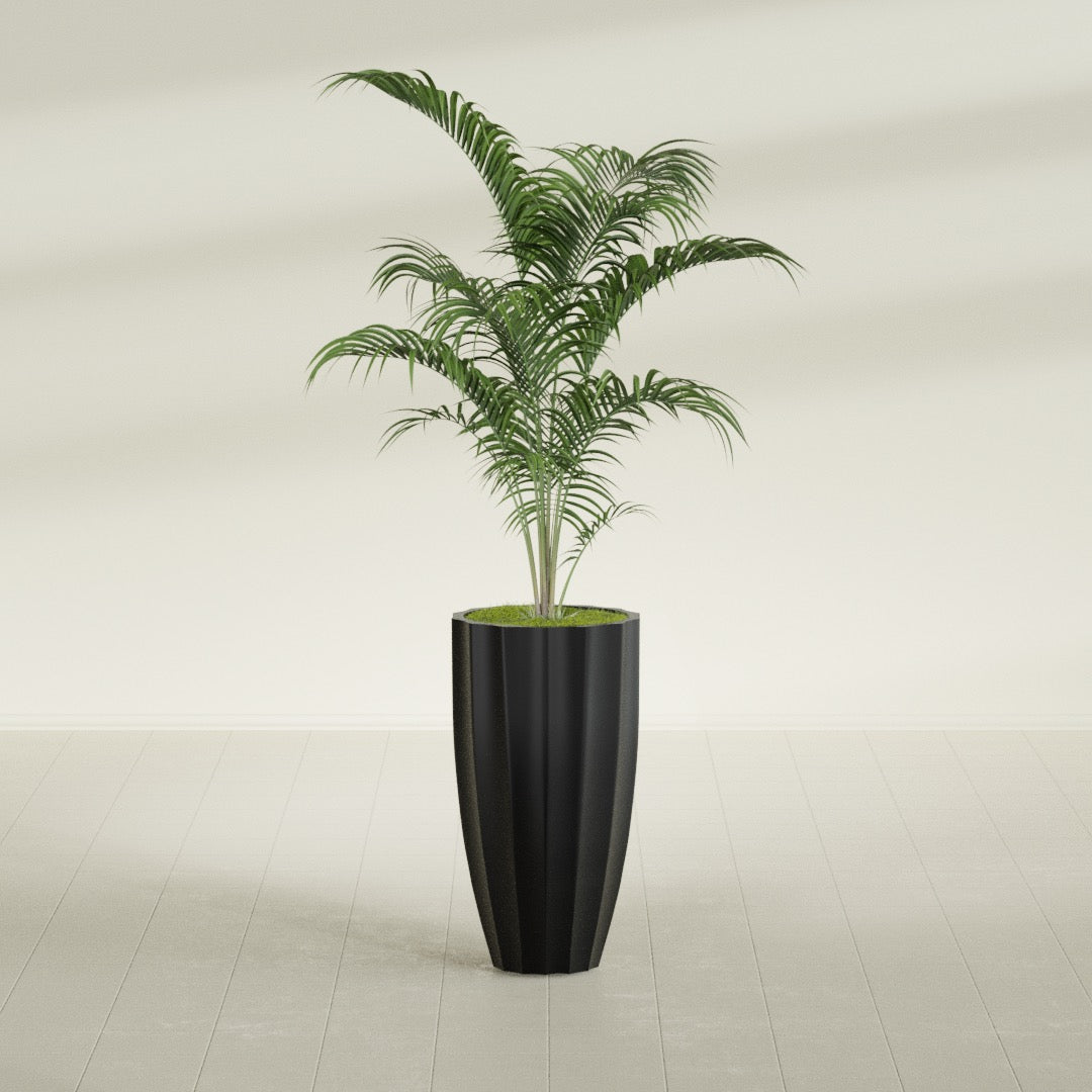 San Jose Tall Fluted fiberglass planter in Matte Black, shown planted, in a sunlit interior
