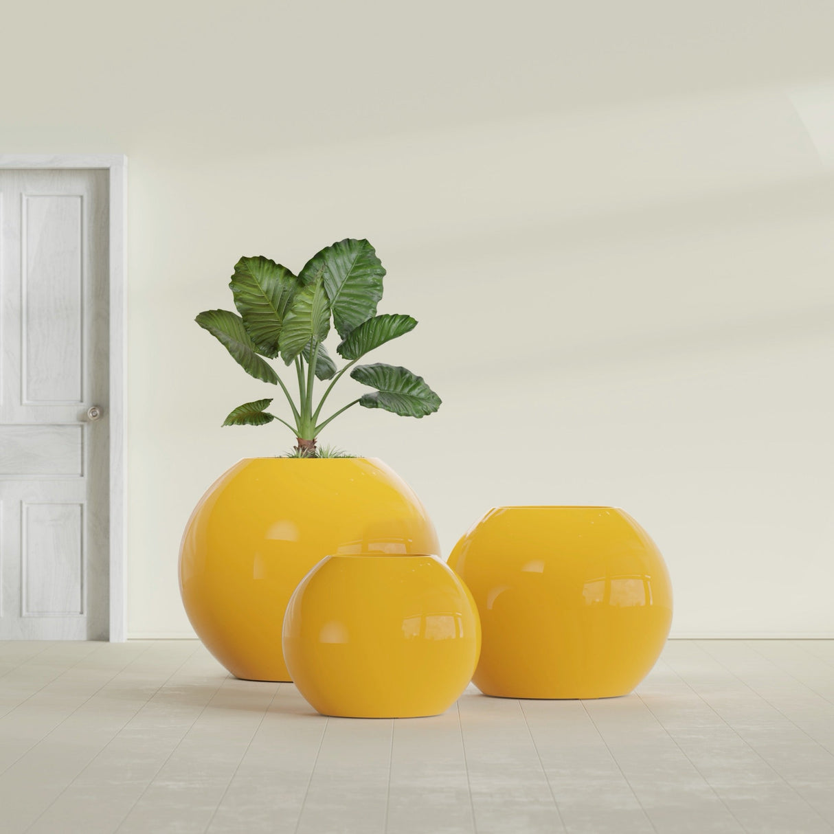 Globe fiberglass planter in Gloss Saffron, size range, in a sunlit interior