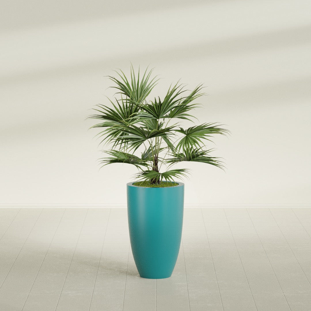 Brannan Tapered Round fiberglass planter in Satin Seafoam Green, shown planted, in a sunlit interior