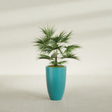 Brannan Tapered Round fiberglass planter in Satin Seafoam Green, shown planted, in a sunlit interior