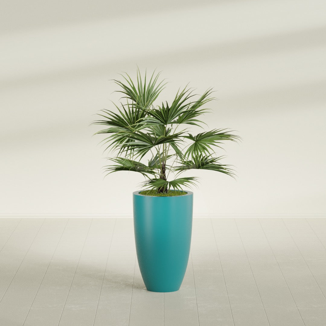 Brannan Tapered Round fiberglass planter in Satin Seafoam Green, shown planted, in a sunlit interior