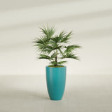 Brannan Tapered Round fiberglass planter in Satin Seafoam Green, shown planted, in a sunlit interior