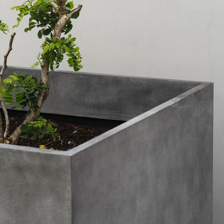 Reglito Cube Cosapots fiberglass planter, shown planted in a styled setting.