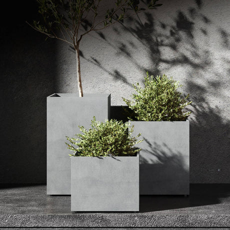 Reglito tall square Cosapots fiberglass planters, shown grouped with an olive tree and clipped shrubs in raking sunlight.