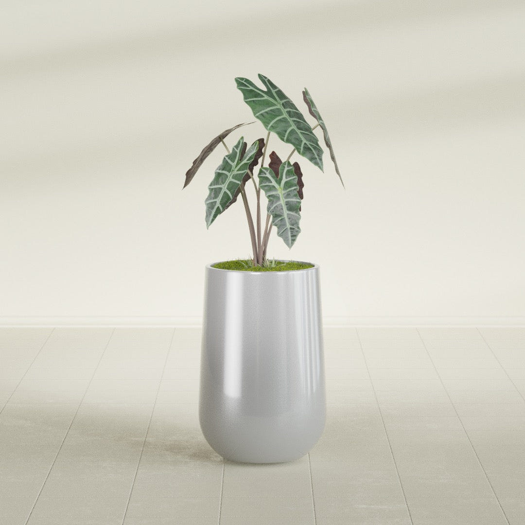 Hayden Urn fiberglass planter in Metallic Silver, shown planted, in a sunlit interior
