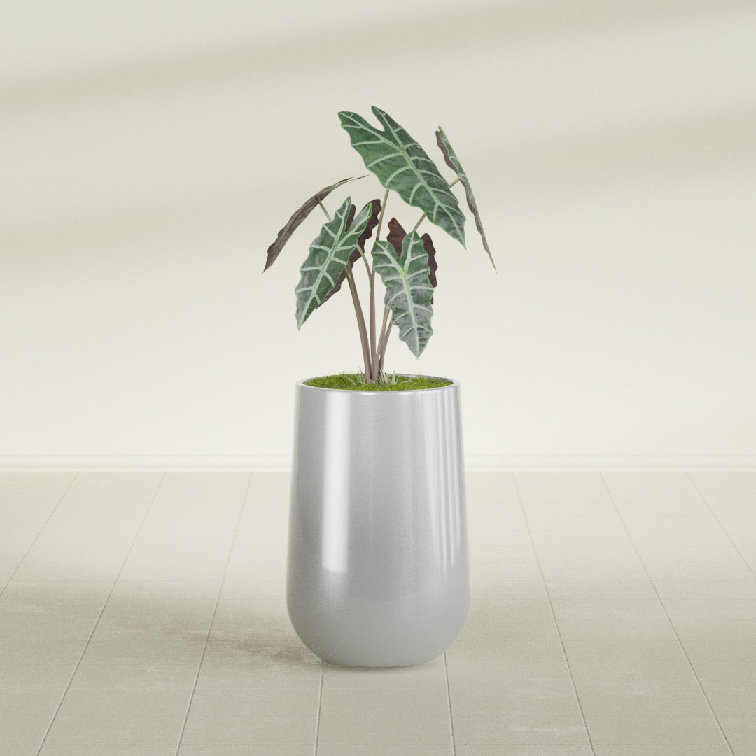 Hayden Urn fiberglass planter in Metallic Silver, shown planted, in a sunlit interior