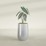 Hayden Urn fiberglass planter in Metallic Silver, shown planted, in a sunlit interior