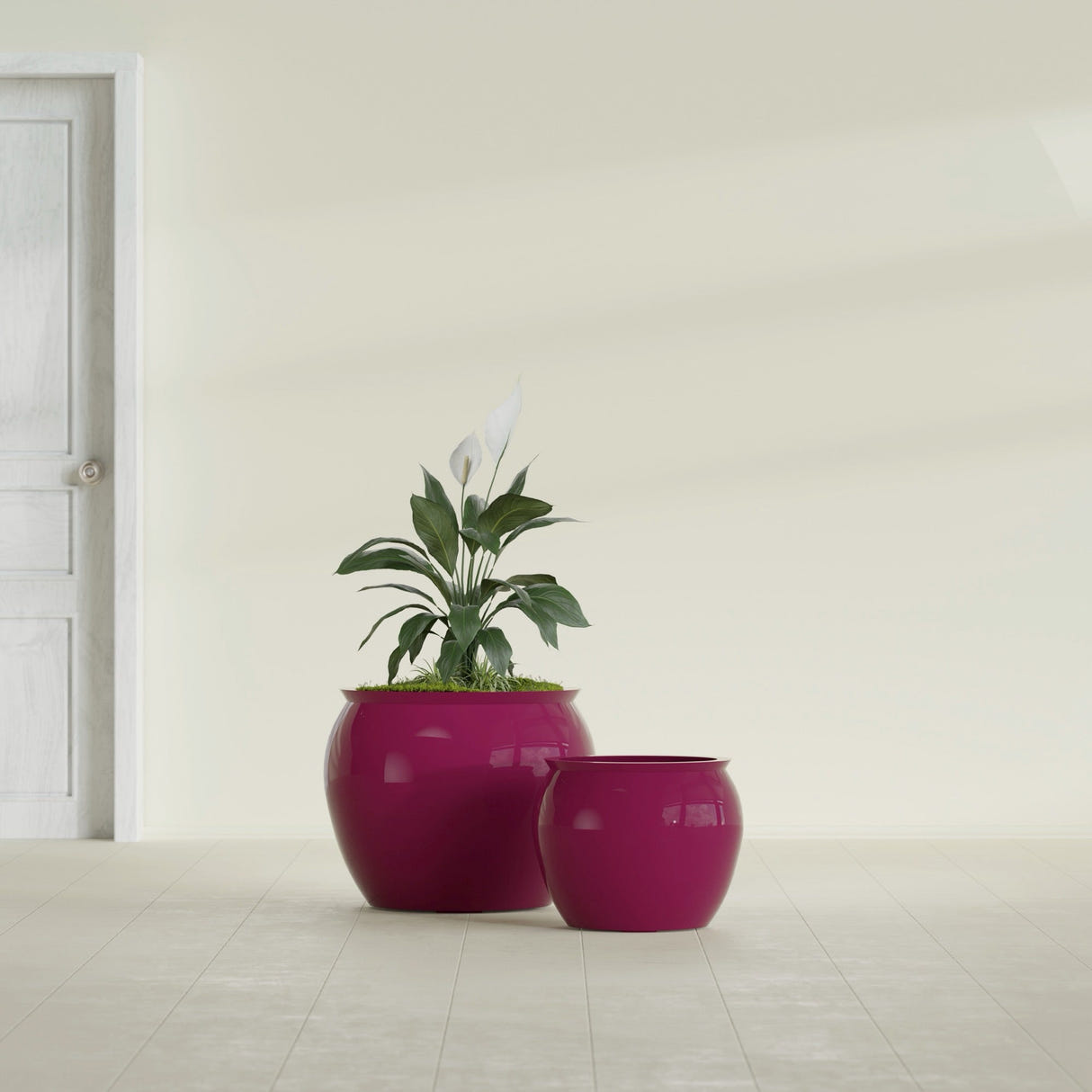 Shanghai Fishbowl fiberglass planter in Gloss Eggplant, size range, in a sunlit interior