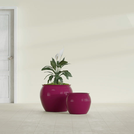 Shanghai Fishbowl fiberglass planter in Gloss Eggplant, size range, in a sunlit interior