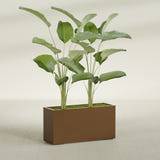 Tolga Rectangular fiberglass planter in Metallic Bronze, shown planted, in a sunlit interior