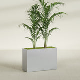 Potsdam Corner fiberglass planter in Metallic Silver, shown planted, in a sunlit interior