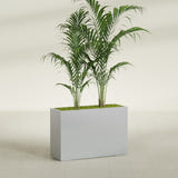 Potsdam Rectangular fiberglass planter in Metallic Silver, shown planted, in a sunlit interior