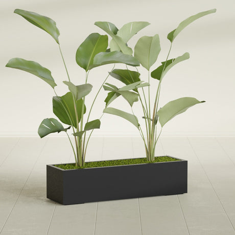 Cuba Low Rectangular fiberglass planter in Matte Black, shown planted, in a sunlit interior