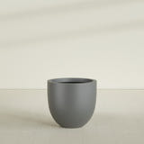 Alzira Bowl Planter in Matte Gunmetal, 30"D × 28"H, shown empty