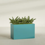 Brisbane Corner fiberglass planter in Satin Seafoam Green, shown planted, in a sunlit interior