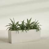 Panama Tapered fiberglass planter in Satin Beige, planted, in a sunlit interior
