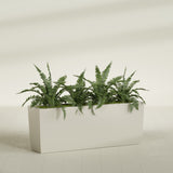 Panama Tapered fiberglass planter in Satin Beige, planted, in a sunlit interior