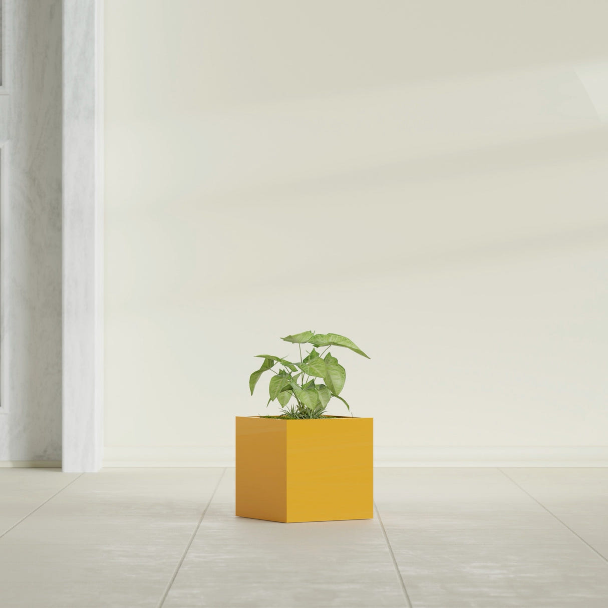 Monaco Cube fiberglass planter in Gloss Saffron, shown planted, in a sunlit interior