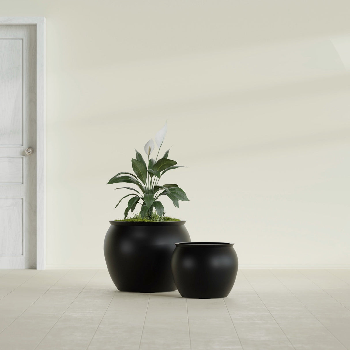 Shanghai Fishbowl fiberglass planter in Matte Black, size range, in a sunlit interior