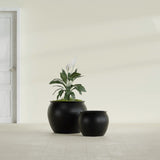 Shanghai Fishbowl fiberglass planter in Matte Black, size range, in a sunlit interior