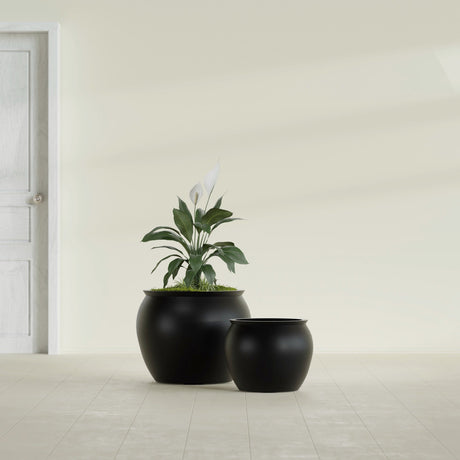 Shanghai Fishbowl fiberglass planter in Matte Black, size range, in a sunlit interior