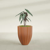 Alicante Fluted fiberglass planter in Matte Terra Cotta, shown planted, in a sunlit interior