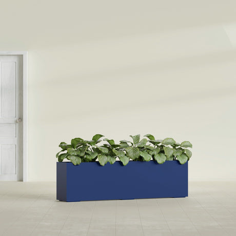 Hudson Extra Long fiberglass planter in Matte Cobalt Blue, shown planted, in a sunlit interior