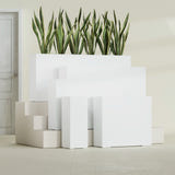 Delray Rectangular fiberglass planter in Matte Bright White, size range, in a sunlit interior