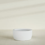 Casablanca Bowl Planter in Gloss Bright White, 36"D × 18"H, shown empty