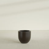 Alzira Bowl Planter in Matte Dark Brown, 23"D × 22"H, shown empty