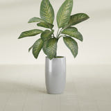 Lisbon Tall Round fiberglass planter in Metallic Silver, shown planted, in a sunlit interior