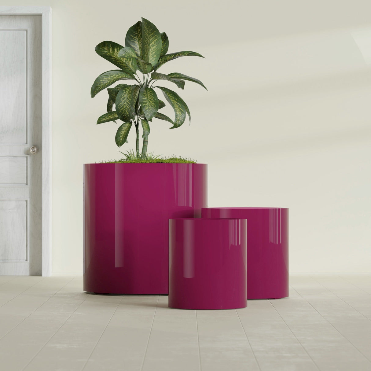 Rio Grande Cylinder fiberglass planter in Gloss Eggplant, size range, in a sunlit interior