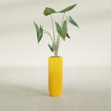 Saint Tropez Bullet Round fiberglass planter in Gloss Saffron, shown planted, in a sunlit interior