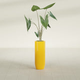 Saint Tropez Bullet Round fiberglass planter in Gloss Saffron, shown planted, in a sunlit interior