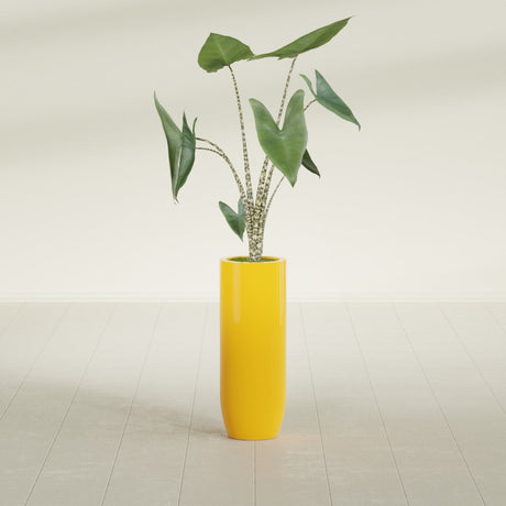 Saint Tropez Bullet Round fiberglass planter in Gloss Saffron, shown planted, in a sunlit interior