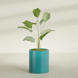 Rio Grande Cylinder fiberglass planter in Satin Seafoam Green, shown planted, in a sunlit interior