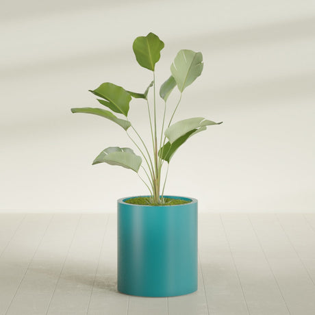 Rio Grande Cylinder fiberglass planter in Satin Seafoam Green, shown planted, in a sunlit interior