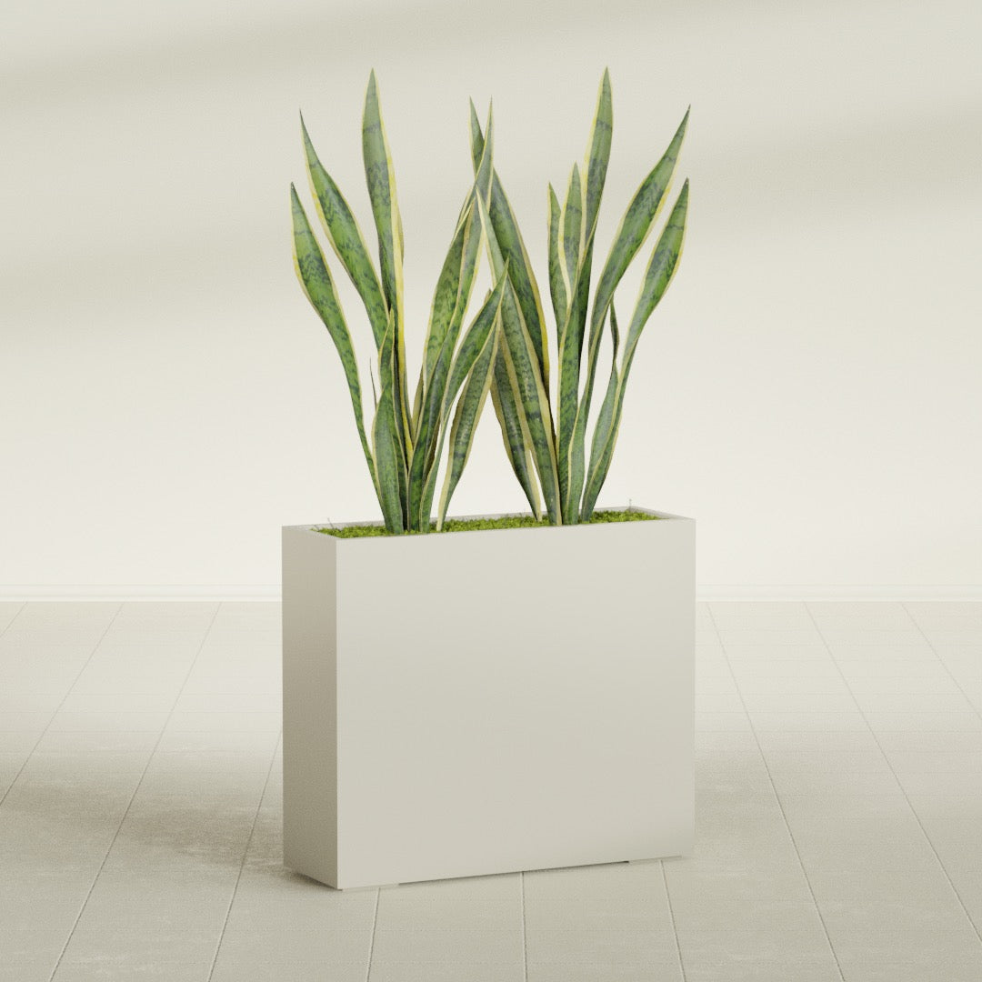 Perth Corner fiberglass planter in Satin Beige, shown planted, in a sunlit interior