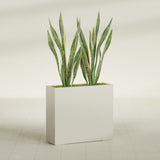 Perth Corner fiberglass planter in Satin Beige, shown planted, in a sunlit interior