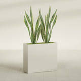 Perth Rectangular fiberglass planter in Satin Beige, shown planted, in a sunlit interior