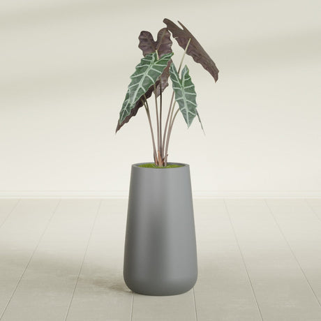 Saigon Tapered Round fiberglass planter in Matte Gunmetal, shown planted, in a sunlit interior