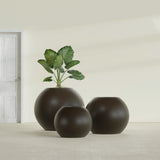 Globe fiberglass planter in Matte Dark Brown, size range, in a sunlit interior