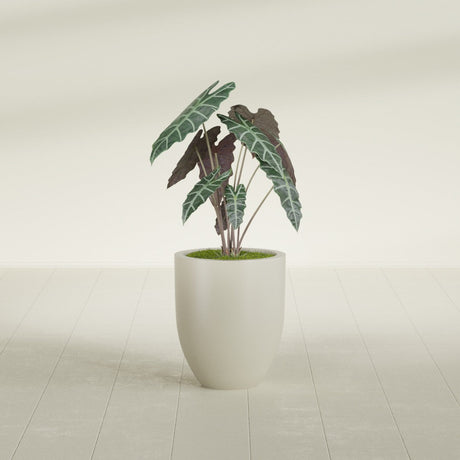 Valencia Tapered Round fiberglass planter in Satin Beige, shown planted, in a sunlit interior