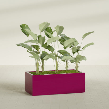 Torino Corner fiberglass planter in Gloss Eggplant, shown planted, in a sunlit interior