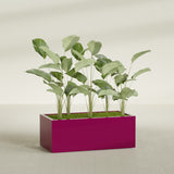 Torino Wide Rectangular fiberglass planter in Gloss Eggplant, shown planted, in a sunlit interior