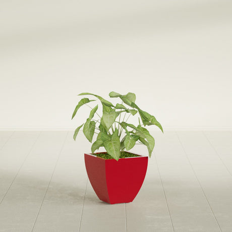 Lima Tapered Square fiberglass planter in Gloss Red, shown planted, in a sunlit interior